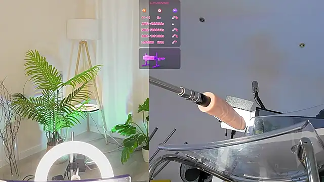 Sexydoll112 online show from December 2025 11:56:02 PM