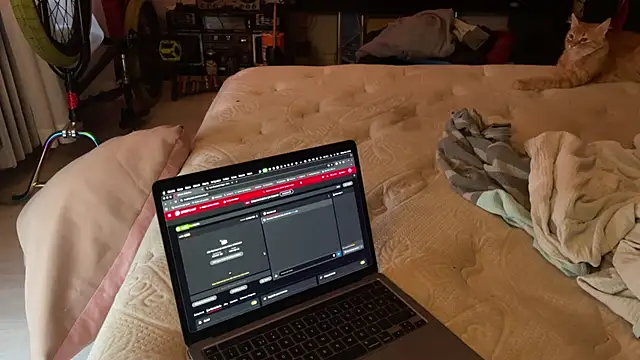 kameray12 online show from November 2025 04:56:01 AM