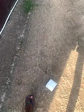 Snapshot of DManL chatting on November 2025 04:44:02 AM DManL online show from November 2025 04:44:02 AM