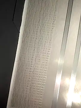 Snapshot of DManL chatting on November 2025 12:16:01 PM DManL online show from November 2025 12:16:01 PM