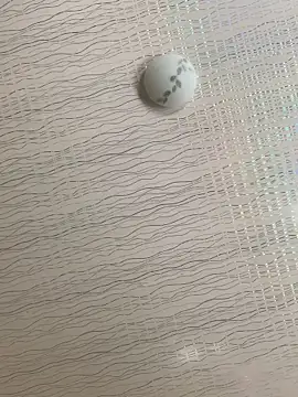 Snapshot of DManL chatting on January 2026 07:56:02 AM DManL online show from January 2026 07:56:02 AM