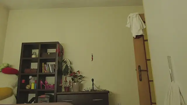 Niter online show from January 2025 01:56:01 AM