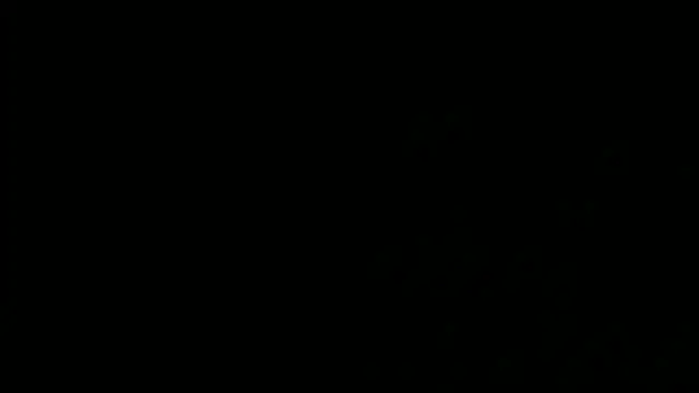 Snapshot of SensualJane2 chatting on January 2025 06:13:02 AM SensualJane2 online show from January 2025 06:13:02 AM