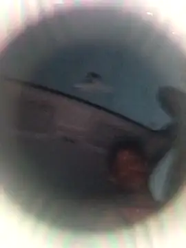 Snapshot of Ursonego chatting on October 2025 10:07:01 PM Ursonego online show from October 2025 10:07:01 PM