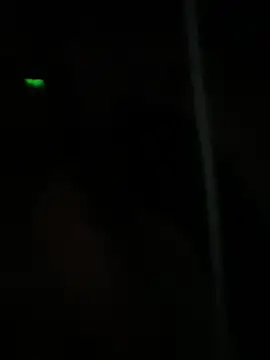 Snapshot of dimitriei chatting on January 2025 08:54:01 AM dimitriei online show from January 2025 08:54:01 AM