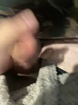 Snapshot of dimitriei chatting on October 2025 05:26:02 AM dimitriei online show from October 2025 05:26:02 AM