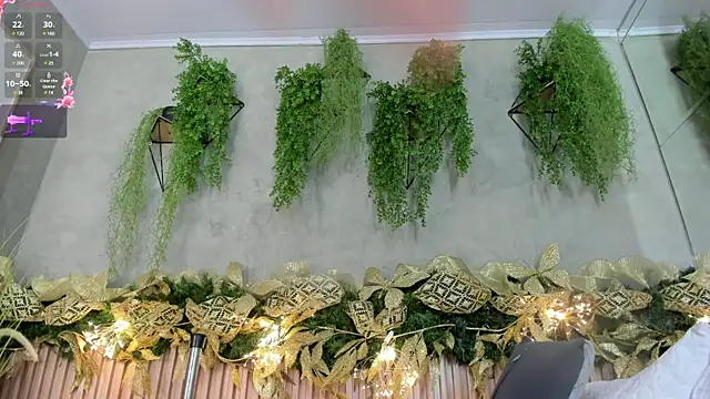 Lana Lann online show from December 2024 06:49:01 PM