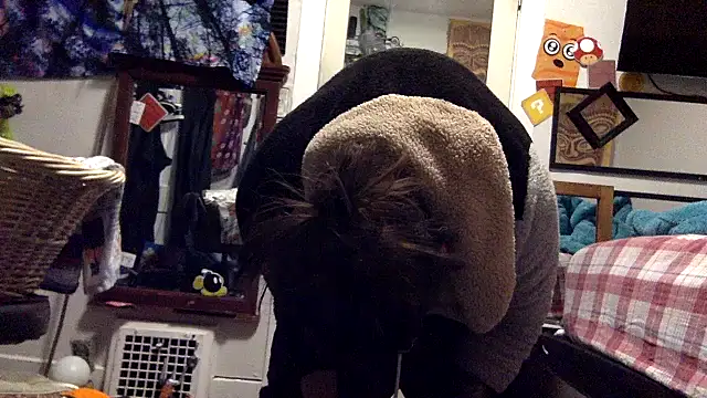 Robriguezxxx online show from March 2025 05:39:01 AM