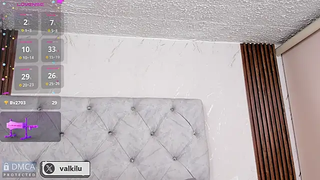 Snapshot of valkilu11 chatting on January 2025 02:14:01 AM valkilu11 online show from January 2025 02:14:01 AM