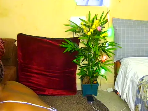Naughtygal98 online show from July 2026 06:27:01 AM