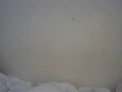 Snapshot of ebony_curvedass chatting on September 2025 02:06:02 PM ebony curvedass online show from September 2025 02:06:02 PM