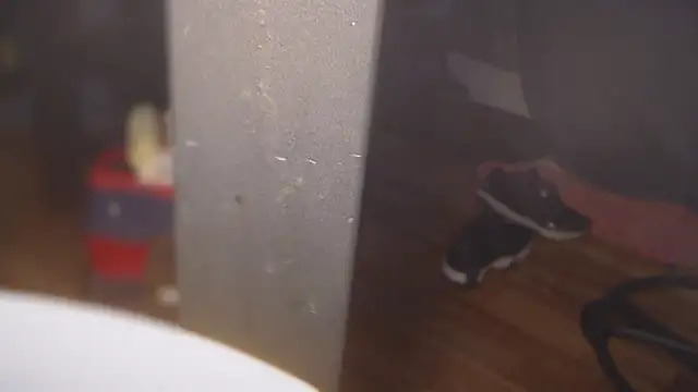 Snapshot of flexingplexico chatting on March 2025 08:31:02 PM flexingplexico online show from March 2025 08:31:02 PM