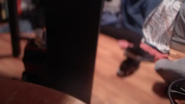 Snapshot of flexingplexico chatting on March 2025 05:58:02 PM flexingplexico online show from March 2025 05:58:02 PM