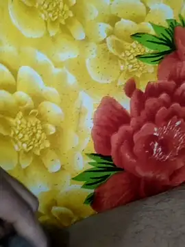 Snapshot of MALLUSING555 chatting on December 2025 04:43:01 AM MALLUSING555 online show from December 2025 04:43:01 AM