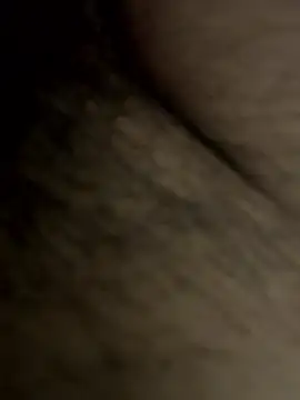 Desibullrck online show from April 2026 05:00:01 PM