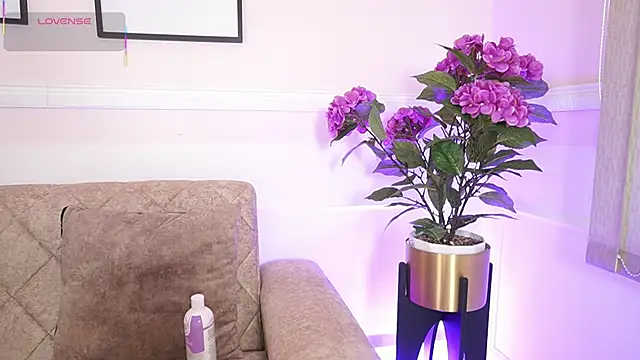 Snapshot of Anybuny chatting on December 2025 12:11:02 PM Anybuny online show from December 2025 12:11:02 PM