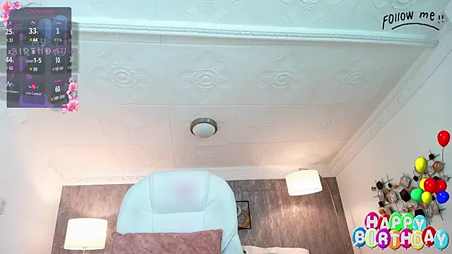 Snapshot of aria_li chatting on February 2025 03:16:01 PM aria li online show from February 2025 03:16:01 PM