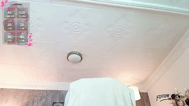 Snapshot of aria_li chatting on March 2025 12:04:01 PM aria li online show from March 2025 12:04:01 PM