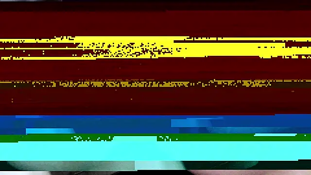 Terry Bogardd online show from June 2026 02:39:01 PM