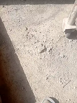 Snapshot of Kurtsikici@xh chatting on October 2025 09:32:01 AM Kurtsikicixh online show from October 2025 09:32:01 AM