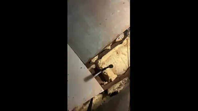 Snapshot of Manwhorxxlcock chatting on March 2026 10:32:01 AM Manwhorxxlcock online show from March 2026 10:32:01 AM