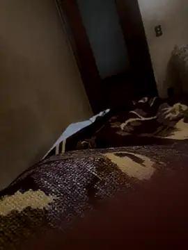 bigboy30X online show from October 2025 02:51:02 PM