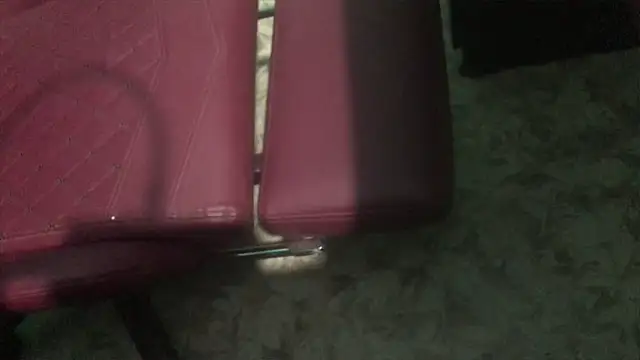 Snapshot of telugu_boy_ chatting on February 2025 01:11:02 PM telugu boy online show from February 2025 01:11:02 PM