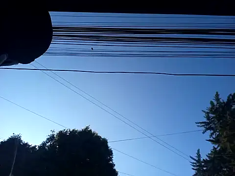 weedmanhot28 online show from January 2025 12:48:02 PM