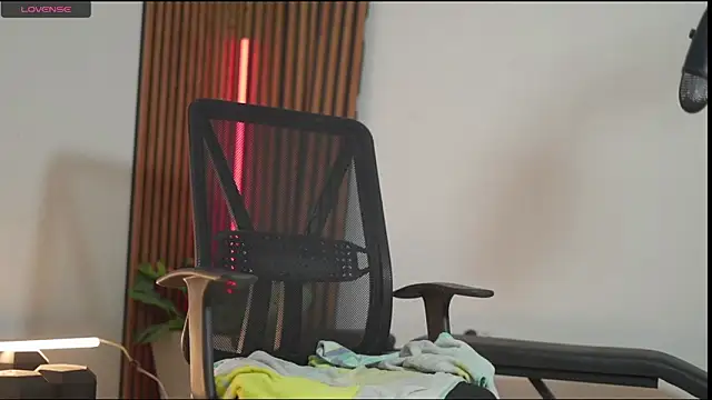 Snapshot of Deiv_SW1 chatting on March 2025 04:33:01 PM Deiv SW1 online show from March 2025 04:33:01 PM