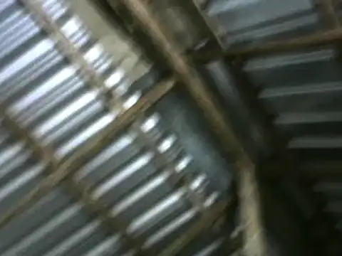 Snapshot of michel_sc chatting on October 2025 10:24:02 AM michel sc online show from October 2025 10:24:02 AM