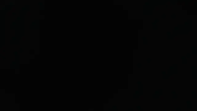 Liaroberts1 online show from January 2025 12:10:01 PM