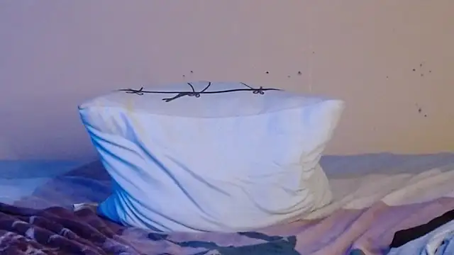 daiki sx online show from January 2025 06:20:01 AM