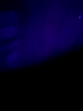 nehacplsex online show from January 2025 06:57:01 PM