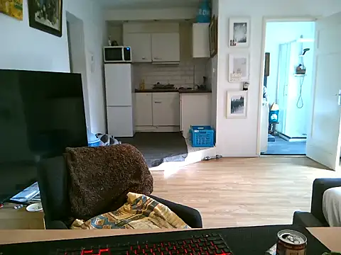 mihaimichael online show from May 2026 11:49:01 AM