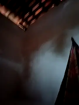 PIKAdePAU27 online show from December 2024 08:33:02 AM