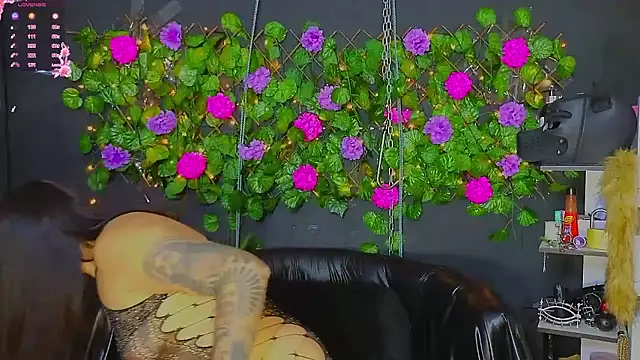 Sweett Mollyy online show from May 2026 10:26:01 PM