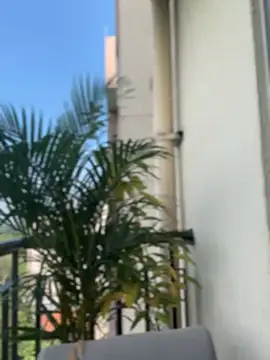 Pretty Isadora online show from February 2026 08:03:02 PM