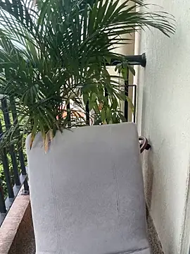 Snapshot of Pretty_Isadora chatting on March 2026 04:57:01 PM Pretty Isadora online show from March 2026 04:57:01 PM