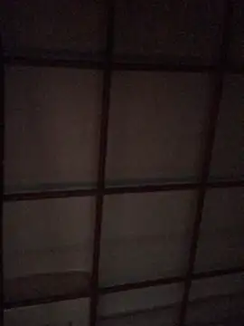 Snapshot of luna_asss chatting on February 2025 04:03:01 AM luna asss online show from February 2025 04:03:01 AM