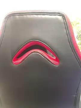 Snapshot of luna_asss chatting on February 2025 05:17:02 PM luna asss online show from February 2025 05:17:02 PM