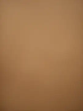 Snapshot of Chriso0007 chatting on February 2025 01:07:01 PM Chriso0007 online show from February 2025 01:07:01 PM