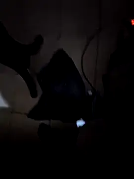 everyoneneeds online show from December 2024 07:03:01 AM