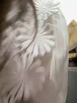 Snapshot of Efangfang chatting on February 2025 08:43:02 AM Efangfang online show from February 2025 08:43:02 AM