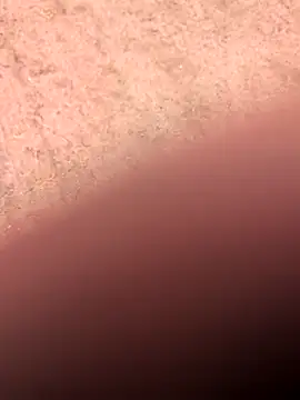 Snapshot of klownman1 chatting on March 2025 06:00:02 PM klownman1 online show from March 2025 06:00:02 PM