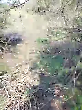 88karan88 online show from January 2025 08:10:02 AM