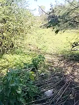 88karan88 online show from March 2025 04:24:02 AM