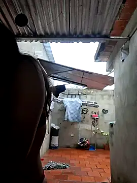 room 24funn online show from February 2026 03:19:02 PM