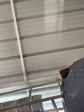 Snapshot of ThomasSAS chatting on March 2026 04:57:01 PM ThomasSAS online show from March 2026 04:57:01 PM