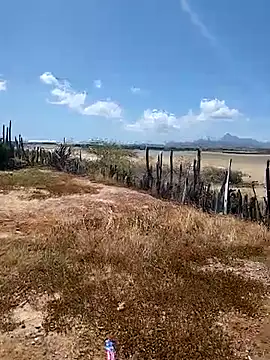 daniel traviexxxo online show from October 2025 05:12:01 PM