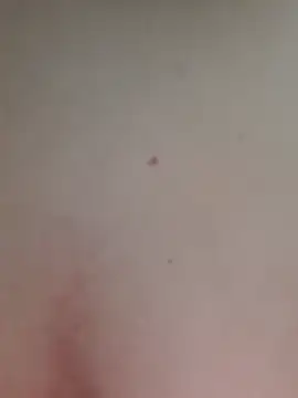 AmandaS2k online show from June 2026 04:29:01 PM